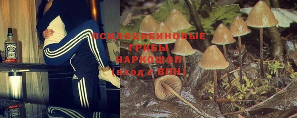 2c-b Алексеевка